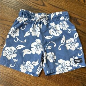Abercrombie Kids Blue and White Tropical Shorts